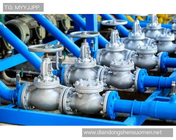 水管阀门：关键设施的控制与管理