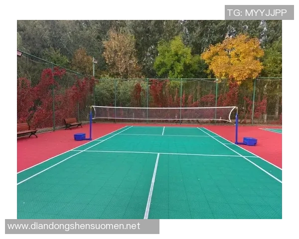 以R体育场地为核心打造城市运动休闲新空间促进全民健身与城市活力提升 以R体育场地为核心打造城市运动休闲新空间促进全民健身与城市活力提升